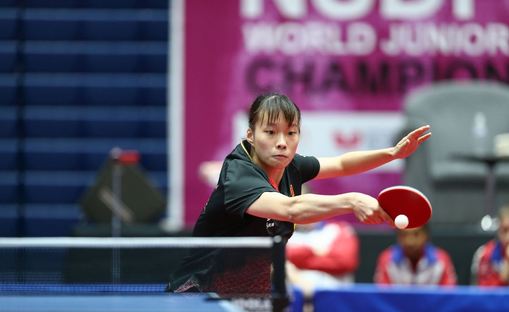 不止是天赋 不止是天赋