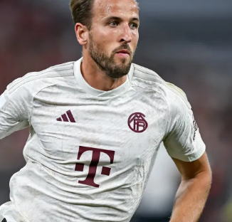 在东南亚高 在东南亚高